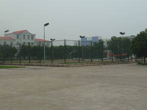 焦作高新技術(shù)創(chuàng)業(yè)服務(wù)中心 構(gòu)建全方位技術(shù)服務(wù)平臺(tái)，賦能企業(yè)創(chuàng)新成長(zhǎng)